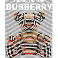 Brand Catalog-ZX 336